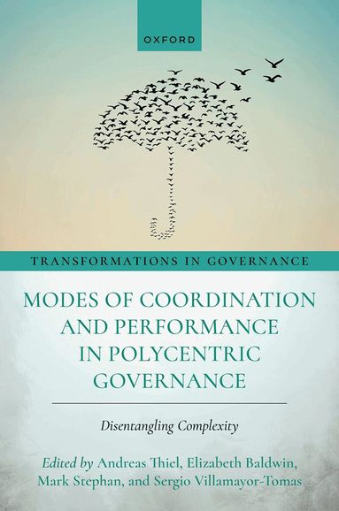 Andreas Thiel, Elizabeth Baldwin - Modes of Coordination and Performance in Polycentric Governance, Inbunden
