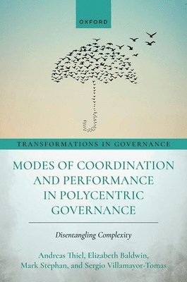 bokomslag Modes of Coordination and Performance in Polycentric Governance