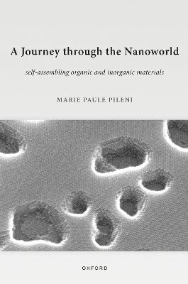 A Journey through the Nanoworld 1