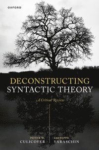 bokomslag Deconstructing Syntactic Theory