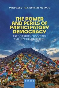 bokomslag The Power of Participatory Democracy
