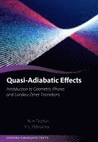 bokomslag Quasi-Adiabatic Effects