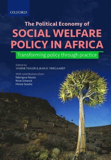 bokomslag The Political Economy of Social Welfare Policy in Africa