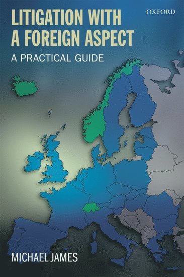 bokomslag Litigation with a Foreign Aspect