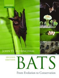 bokomslag Bats