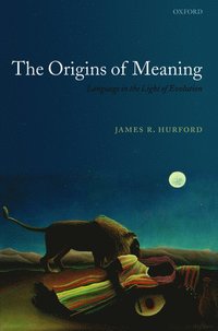 bokomslag The Origins of Meaning