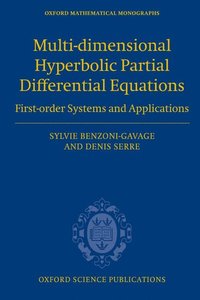 bokomslag Multi-dimensional hyperbolic partial differential equations