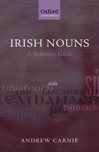 bokomslag Irish Nouns