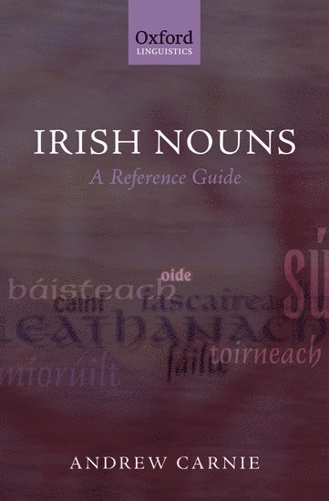 Irish Nouns 1