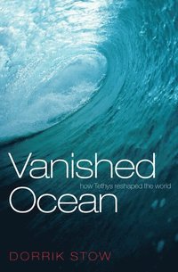 bokomslag Vanished Ocean