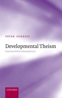 bokomslag Developmental Theism