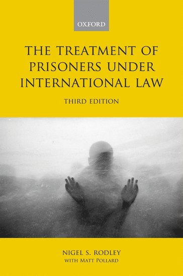 bokomslag Treatment of Prisoners under International Law