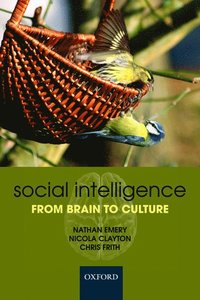 bokomslag Social Intelligence