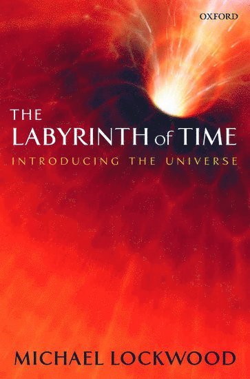 bokomslag The Labyrinth of Time