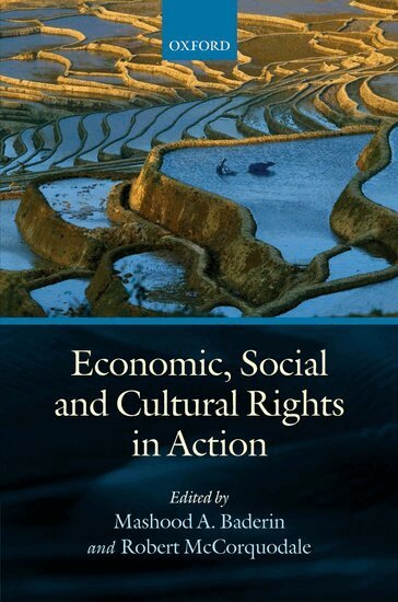 Robert McCorquodale, Mashood Baderin - Economic, Social, and Cultural Rights in Action, Inbunden