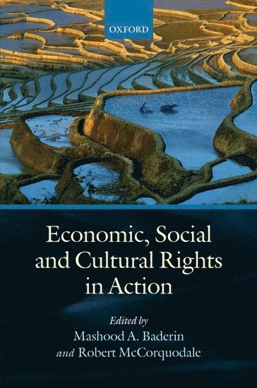 bokomslag Economic, Social, and Cultural Rights in Action