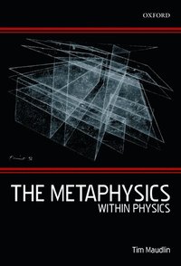 bokomslag The Metaphysics Within Physics