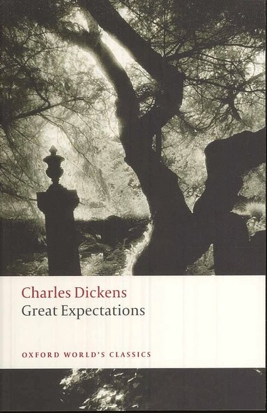 bokomslag Great Expectations