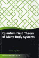 Quantum Field Theory of Many-Body Systems 1