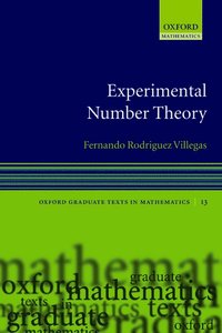 bokomslag Experimental Number Theory