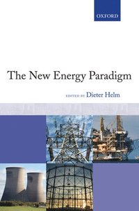 bokomslag The New Energy Paradigm