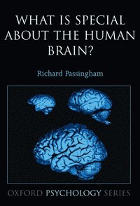 bokomslag What is special about the human brain?