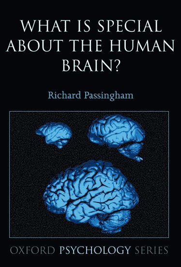 bokomslag What is special about the human brain?