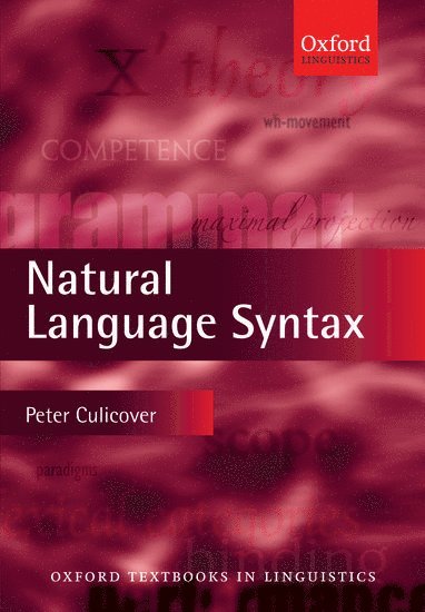 bokomslag Natural Language Syntax