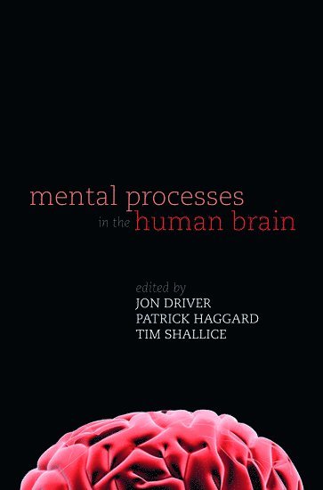 Mental Processes in the Human Brain 1