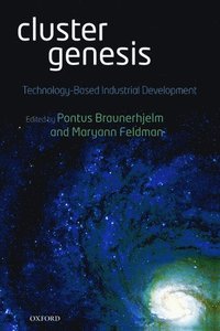 bokomslag Cluster Genesis
