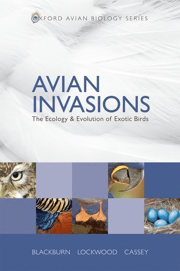 bokomslag Avian Invasions