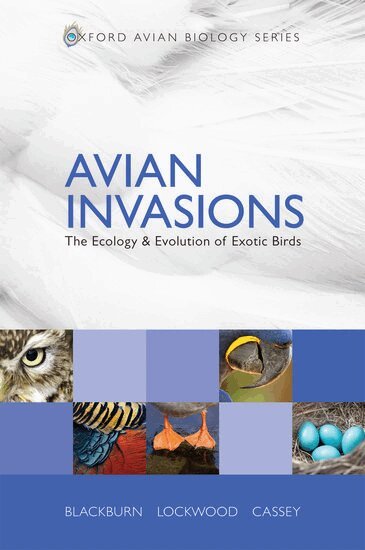 Tim M. Blackburn, Julie L. Lockwood, Phillip Cassey - Avian Invasions, Häftad