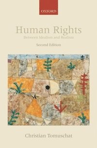 bokomslag Human Rights: Between Idealism and Realism