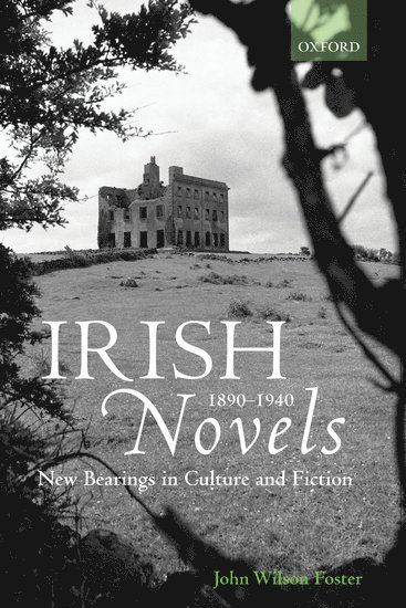 bokomslag Irish Novels 1890-1940