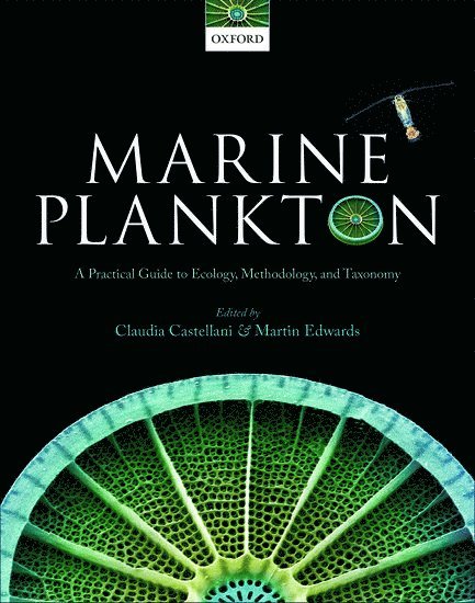 Marine Plankton 1