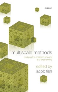 bokomslag Multiscale Methods