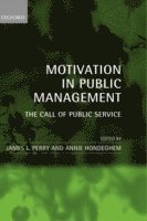 bokomslag Motivation in Public Management
