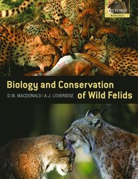 bokomslag The Biology and Conservation of Wild Felids