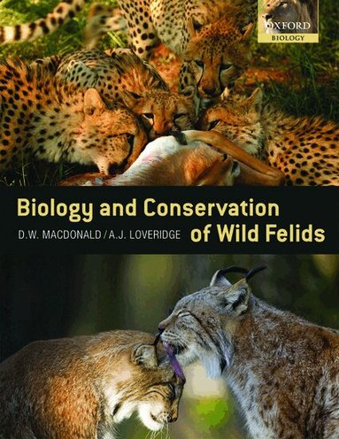 David Macdonald, Andrew Loveridge - The Biology and Conservation of Wild Felids, Inbunden