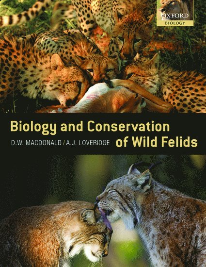The Biology and Conservation of Wild Felids
