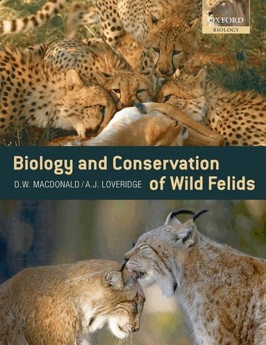 David Macdonald, Andrew Loveridge - The Biology and Conservation of Wild Felids, Häftad