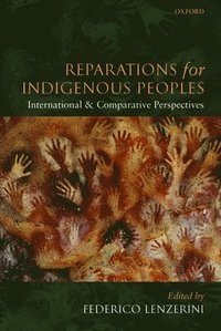 bokomslag Reparations for Indigenous Peoples