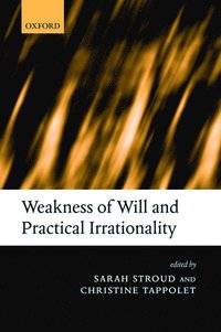 bokomslag Weakness of Will and Practical Irrationality