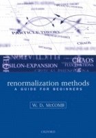 bokomslag Renormalization Methods