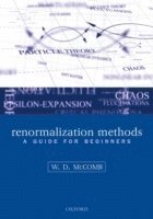 Renormalization Methods