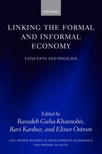 bokomslag Linking the Formal and Informal Economy