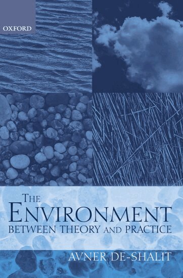 Avner de-Shalit - The Environment Between Theory and Practice, Häftad
