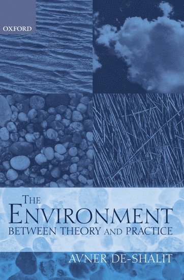 bokomslag The Environment Between Theory and Practice