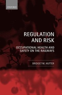 bokomslag Regulation and Risk