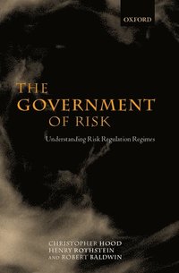 bokomslag The Government of Risk